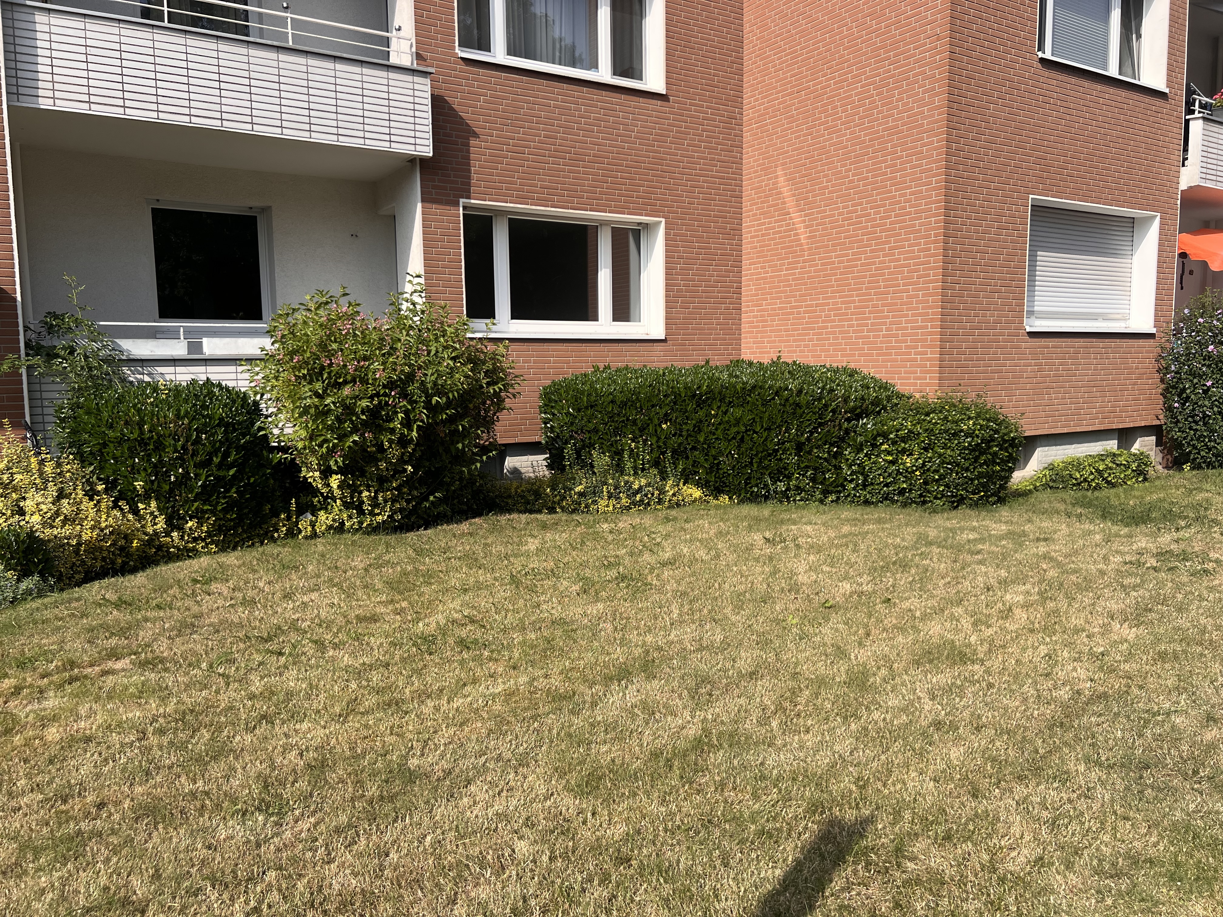 Eigener Garten Eigener Garten