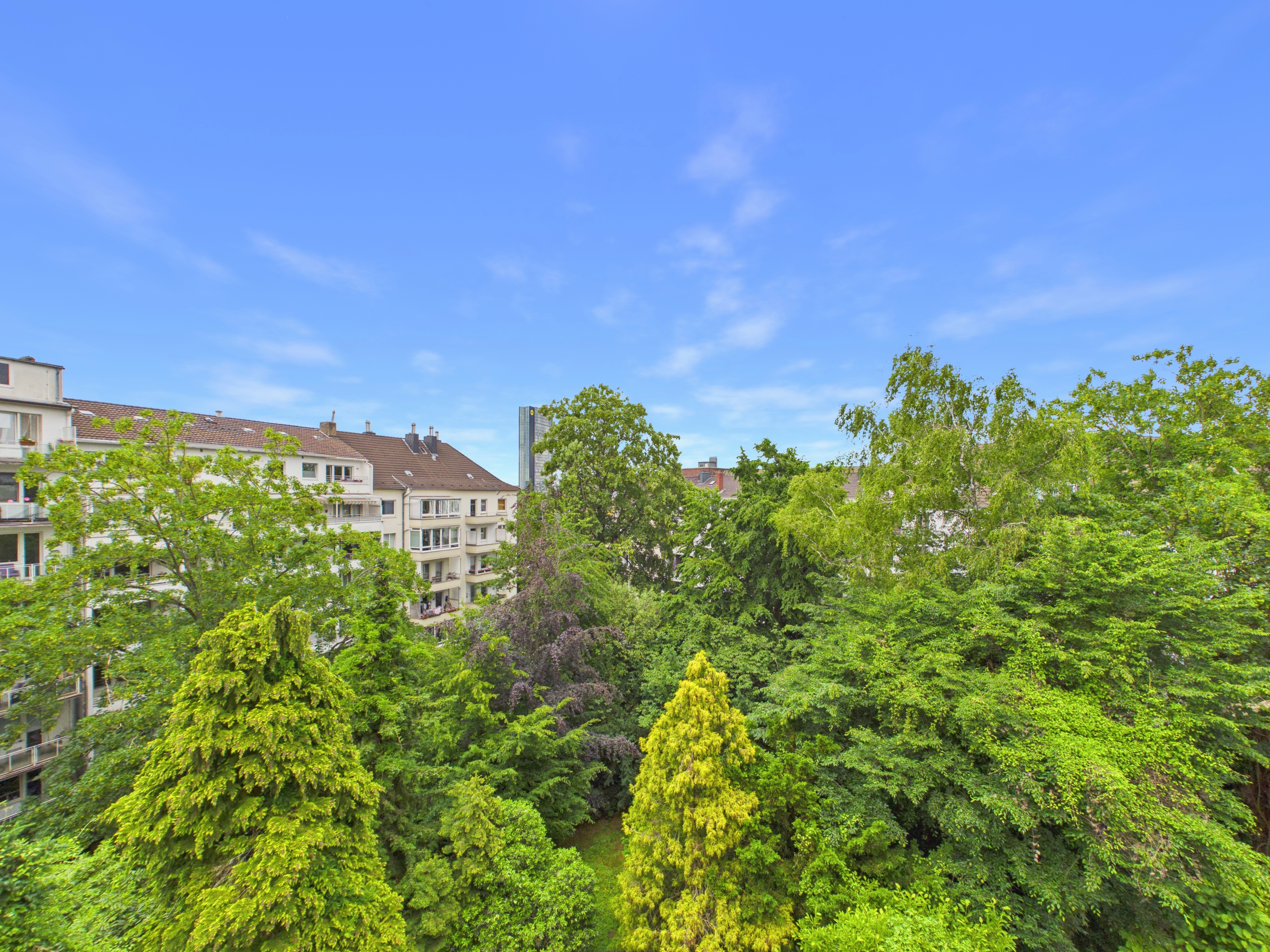 Blick ins Grüne Blick ins Grüne